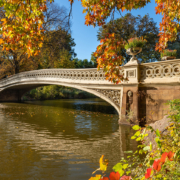 A decorative arched bridge crosses over a calm pond surrounded by autumn trees with colorful leaves in Central Park, offering a serene escape from the bustling Manhattan real estate market on a sunny day.