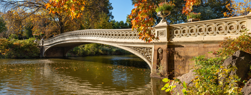 A decorative arched bridge crosses over a calm pond surrounded by autumn trees with colorful leaves in Central Park, offering a serene escape from the bustling Manhattan real estate market on a sunny day.